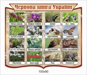 Стенд “Червона книга України”