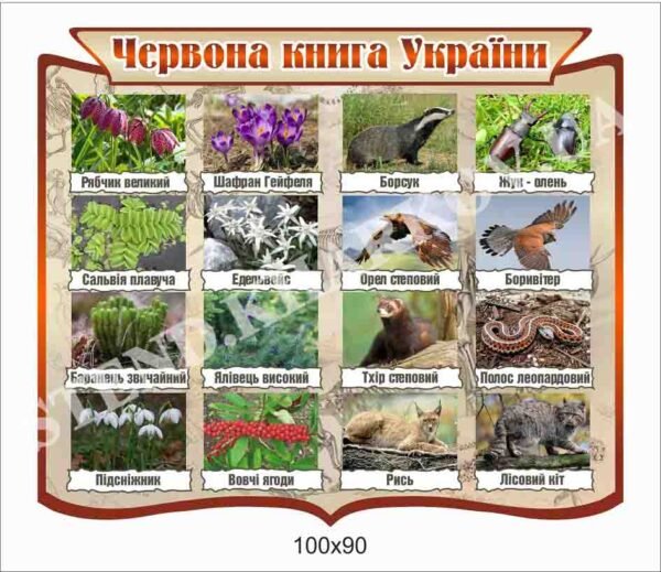Стенд “Червона книга України”
