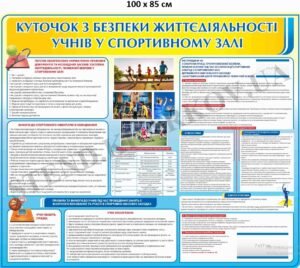 Безпека життєдіяльності учнів у спортивній залі