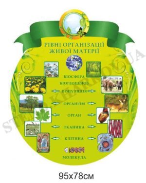 Стенд “Рівні організації живої матерії”