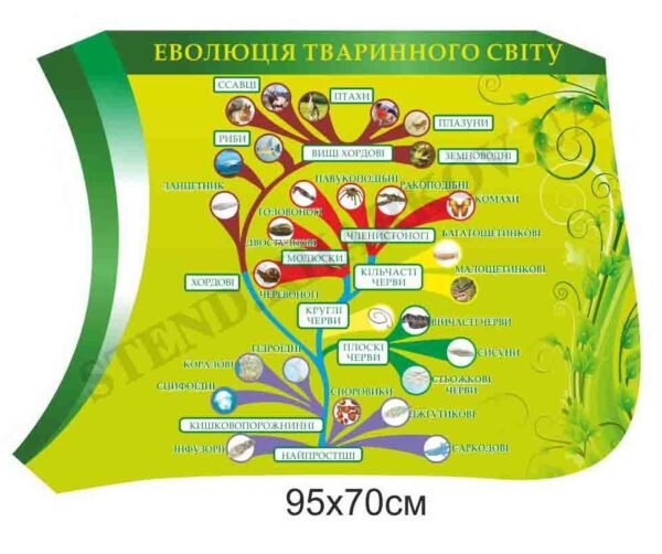 Стенд “Еволюція тваринного світу”