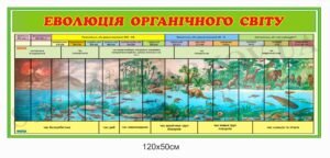 “Еволюція органічного світу” стенд