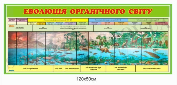 “Еволюція органічного світу” стенд