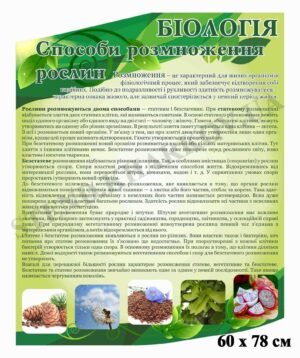 Стенд “Способи розмноження рослин”