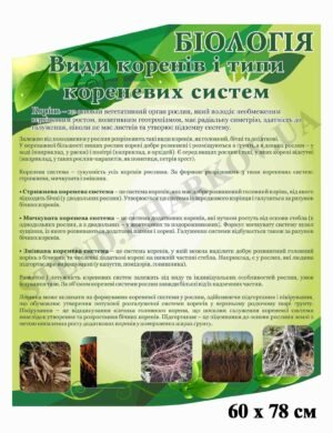 Стенд “Види коренів і типи кореневих систем”