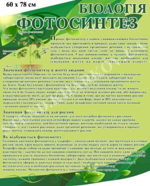 Стенд з біології “Фотосинтез”