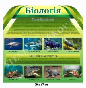 Стенд “Класифікація риб. Класифікація плазунів”