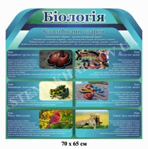 Класифікація тварин – стенд з біології