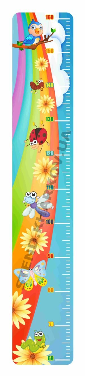 Зростомір дитячий “Весняний”