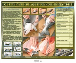 Стенд "Обробка риби у військовій їдальні"
