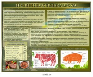 Стенд у їдальню "Первинна обробка м`яса"