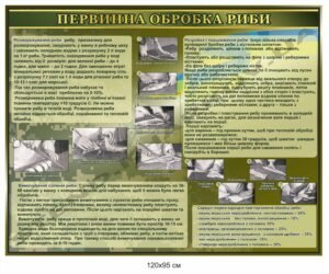 Стенд у військову їдальню "Первинна обробка риби"