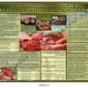Комплект стендів в їдальню для військових 6633