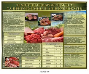 Стенд "Технологія обробки м`яса. Приготування напівфабрикатів"