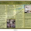 Комплект стендів в їдальню для військових 6638