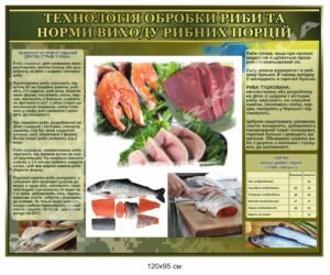 Стенд у військову їдальню "Технологія обробки риби"