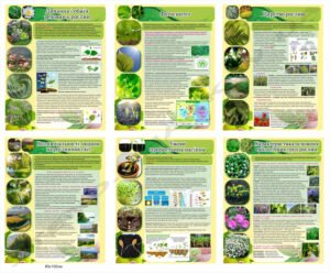 Комплект стендів для кабінету біології