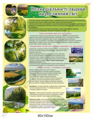 Стенд “Вплив діяльності людини на рослинний світ”