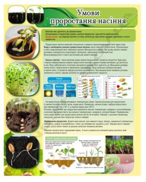 Біологічний стенд “Умови проростання насіння”