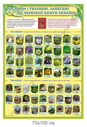 Стенд “Рослини і тварини, занесені до Червоної книги України”