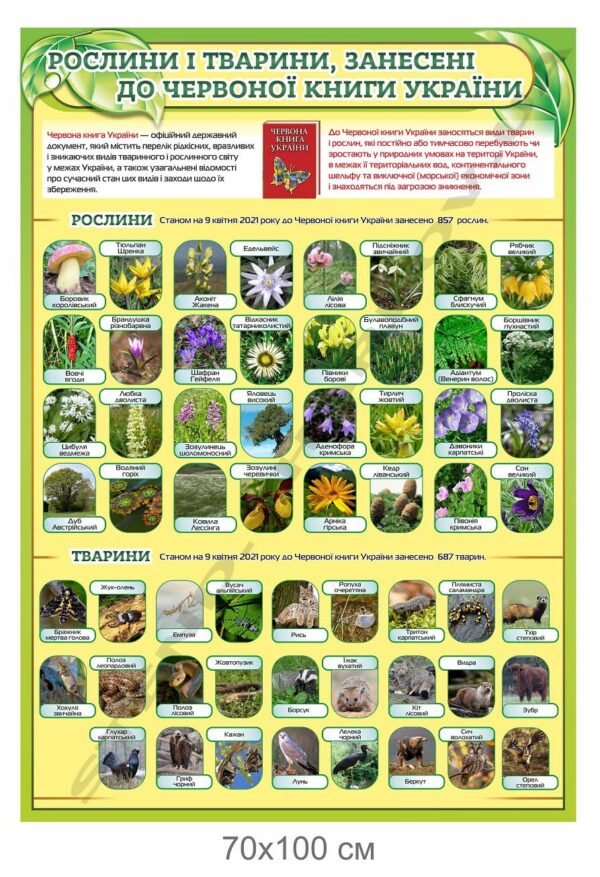 Стенд “Рослини і тварини, занесені до Червоної книги України”