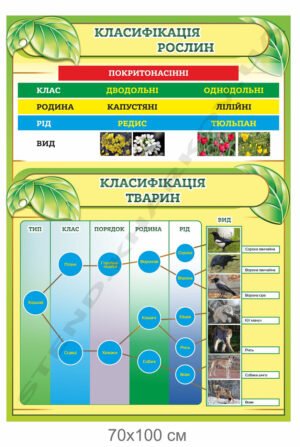 Стенд в кабінет біології “Класифікація рослин і тварин”