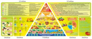 Комплексний стенд в їдальню “Харчування дитини”