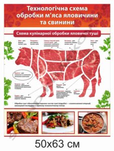 Стенд "Схема обробки яловичої туші"