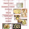 Комплект стендів за професією “Кухар-кондитер” 9689