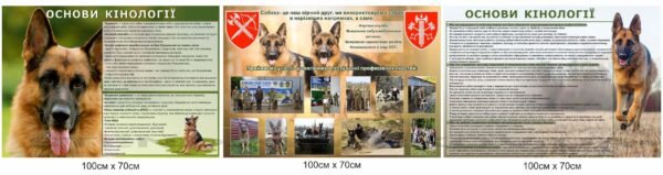 Інформаційні стенди з основ кінології
