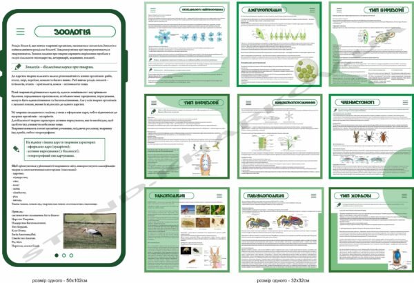 Навчальні стенди по зоології