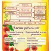 Стенди для оформлення кабінету української мови та літератури 9762