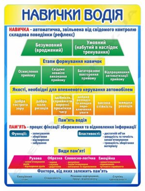 Навички водія – стенд для автошколи