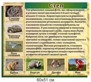Стенд з географії “Степ”