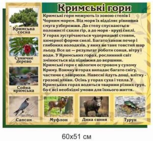 Стенд з географії “Кримські гори”