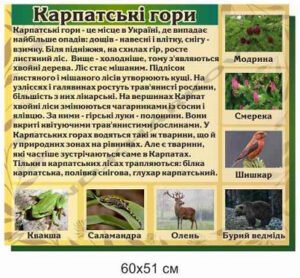 Стенд з географії “Карпатські гори”