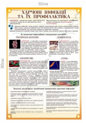 Стенд “Харчові інфекції та їх профілактика”