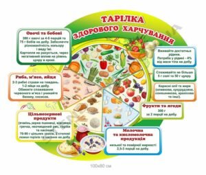 Стенд “Тарілка здорового харчування”