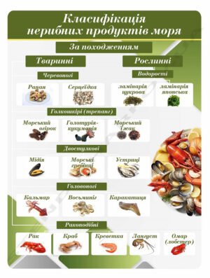 Стенд “Класифікація нерибних продуктів моря”