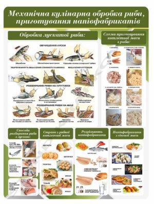 Механічна обробка риби – стенд за професією