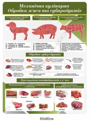 Механічна обробка м’яса і субпродуктів – стенд навчальний