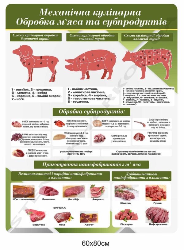 Механічна обробка м’яса і субпродуктів – стенд навчальний