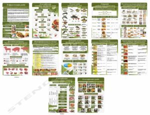 Комплект стендів для навчального закладу харчових технологій