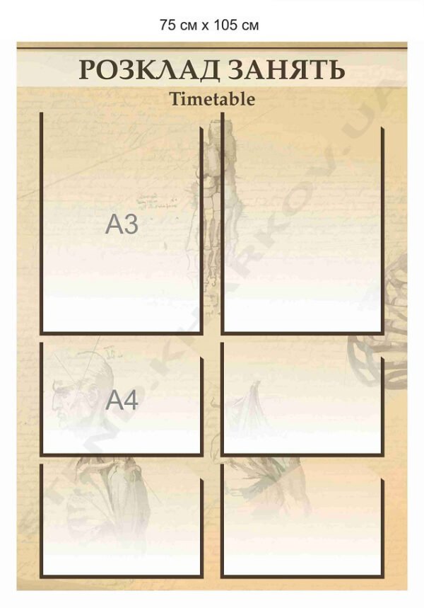 Стенд для медуніверситету “Розклад занять”