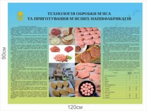 Технологія обробки м’яса та приготування напівфабрикатів – стенд