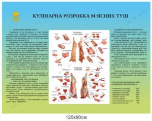 Кулінарна обробка м’ясних туш – стенд