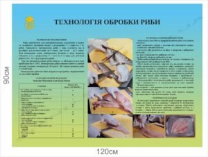 Технологія обробки риби – стенд інформаційний