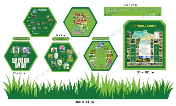 Набір стендів з біології