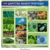 Стенди для кабінету біології 13680