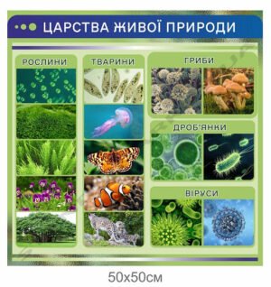 Стенд “Царства живої природи”